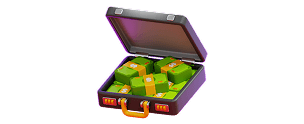 case with money